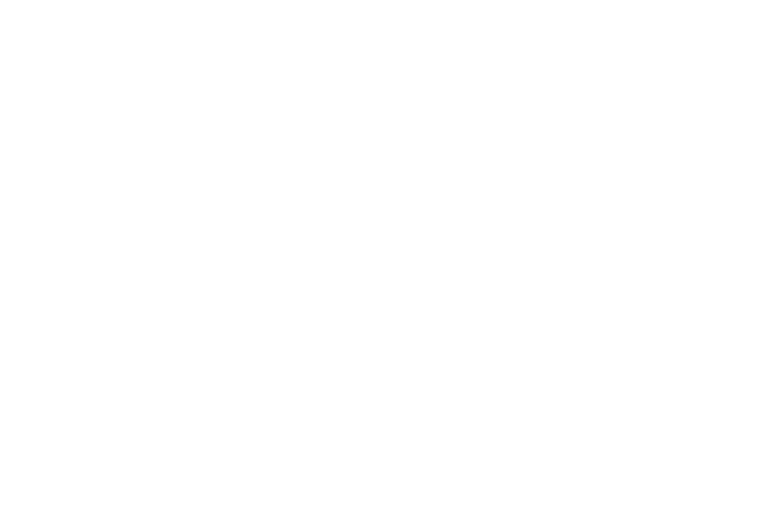 SoloMaestrosRD